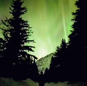 Meet your Posher, Austin